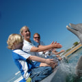 The Ultimate Guide to Family-Friendly Accommodations in Southeast Florida